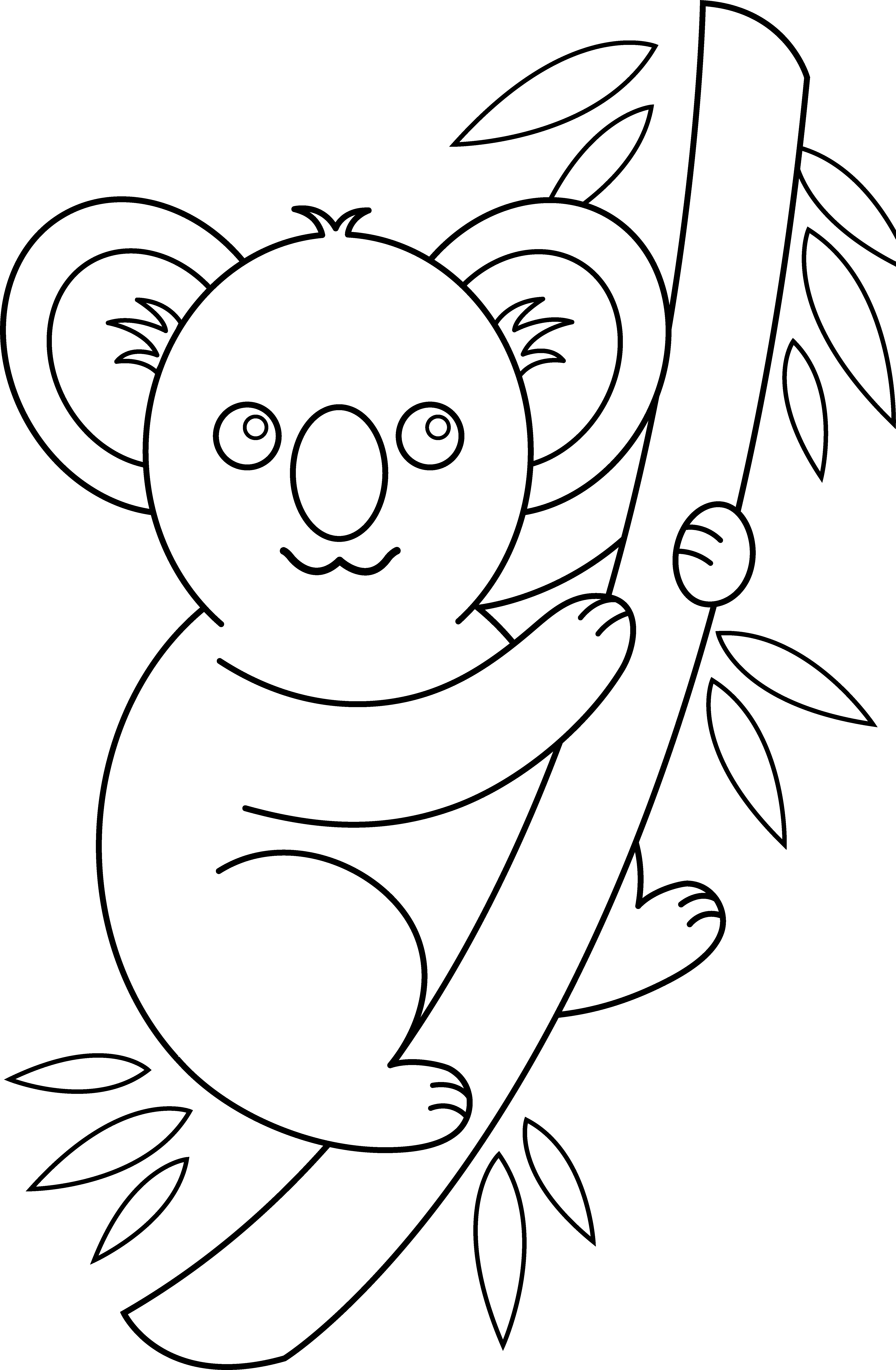 Koala #5503