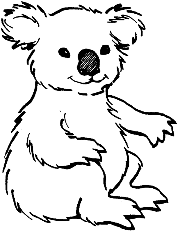 Koala #5505