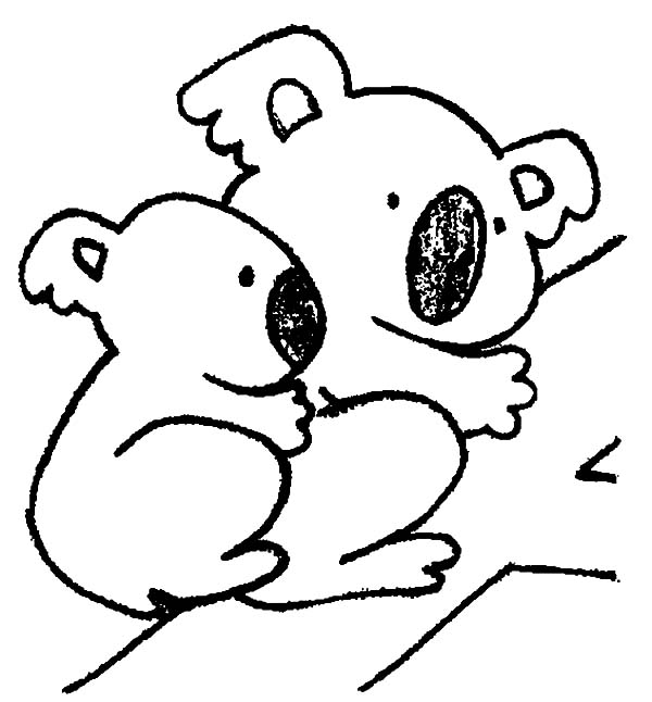 Koala #5510