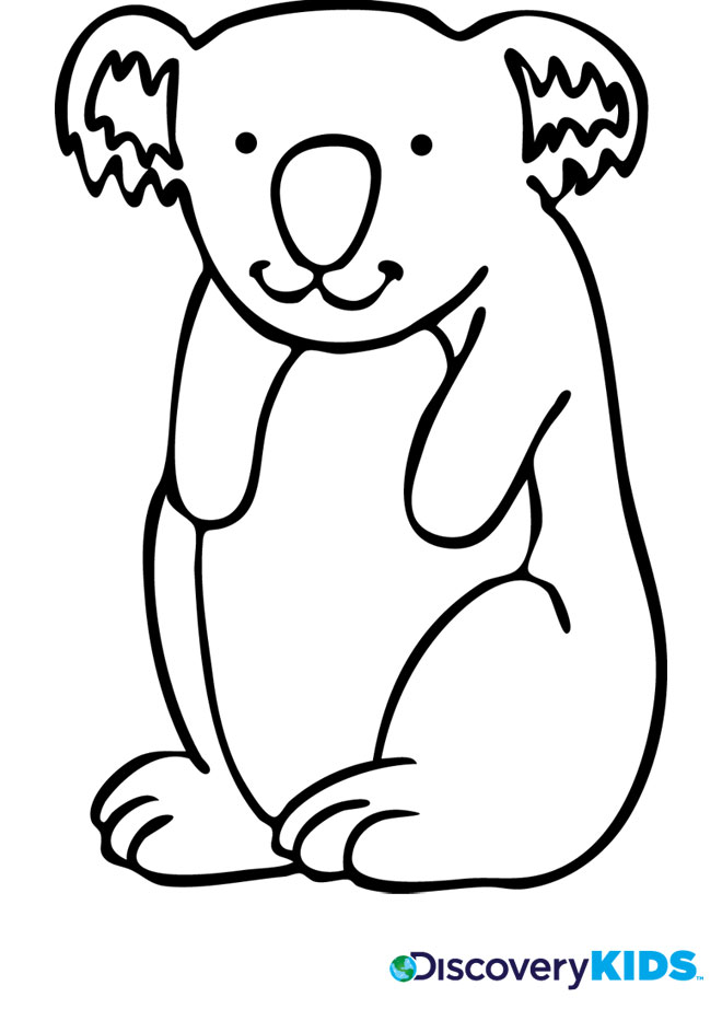 Koala #5515
