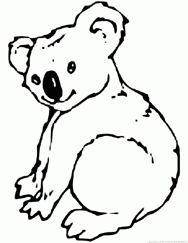 Koala #5516