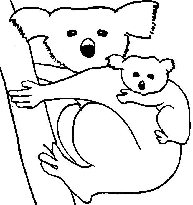 Koala #5518