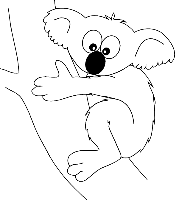 Koala #5525