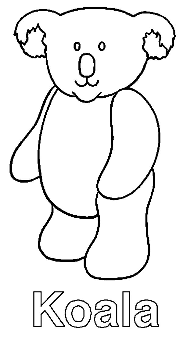 Koala #5526