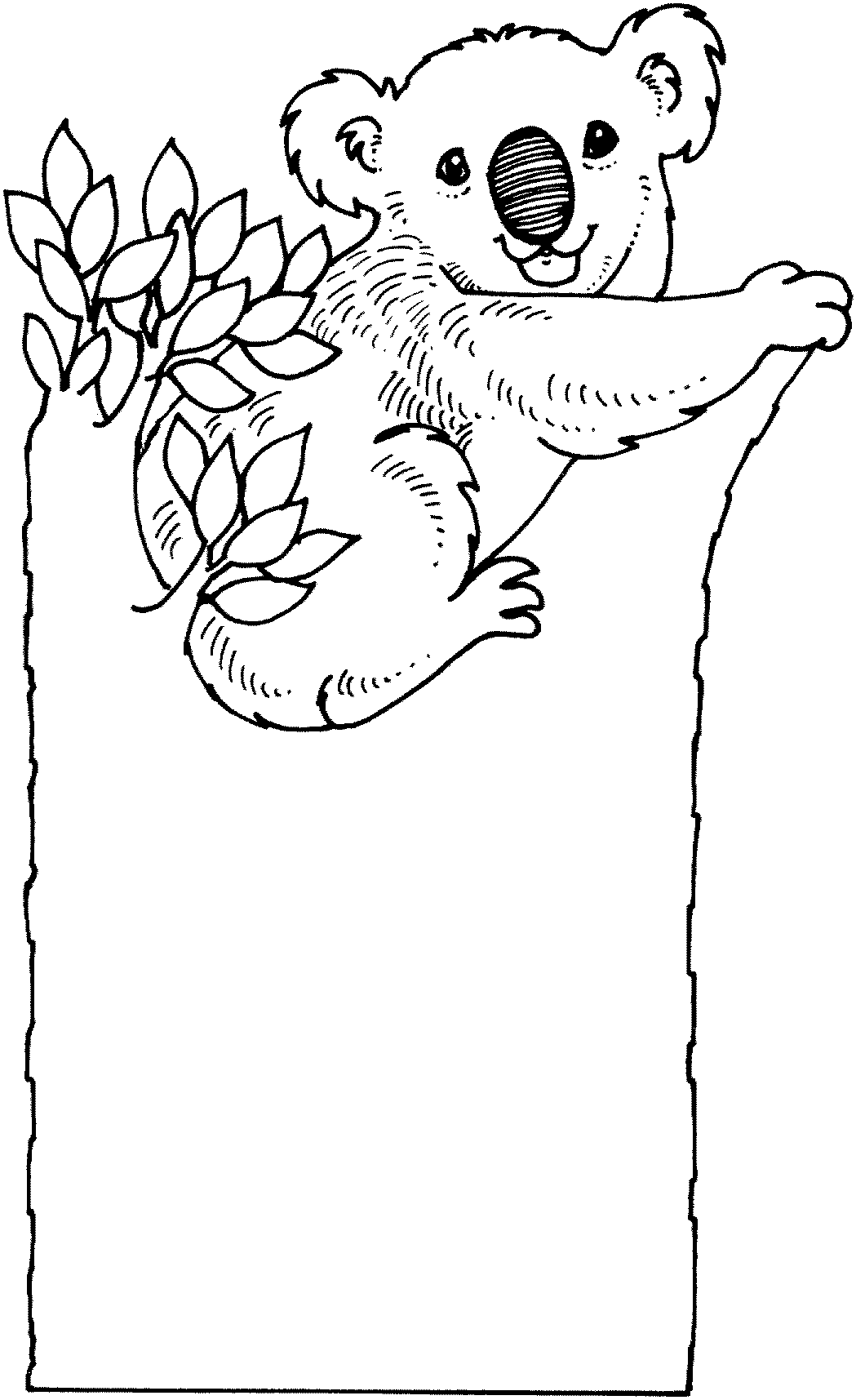 Koala #5530