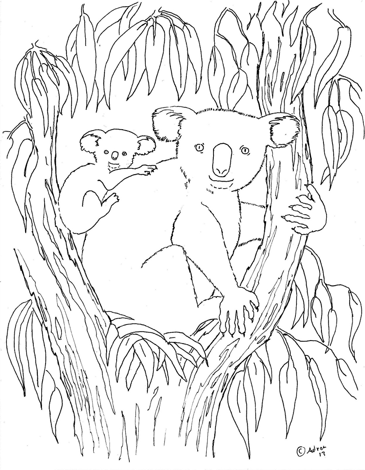 Koala #5533