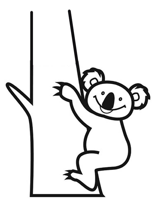 Koala #5534