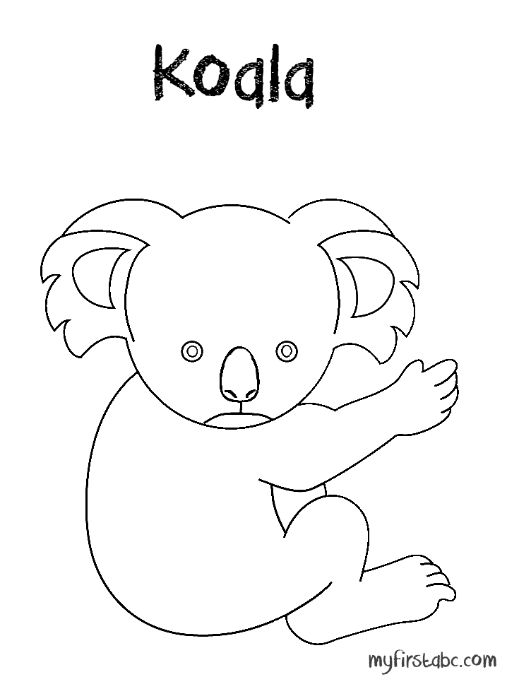 Koala #5536