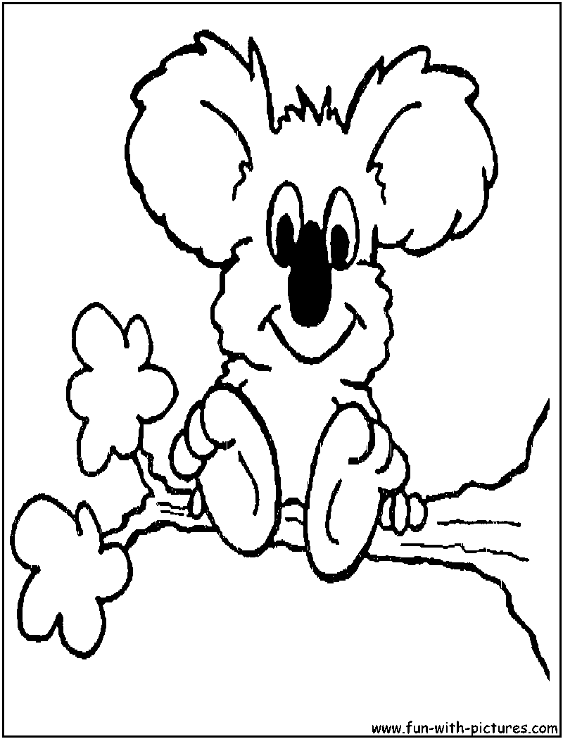 Koala #5537