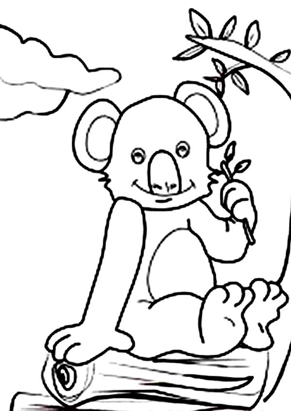 Koala #5540