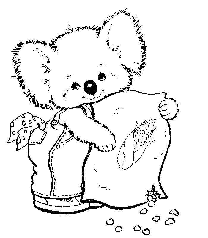 Koala #5554