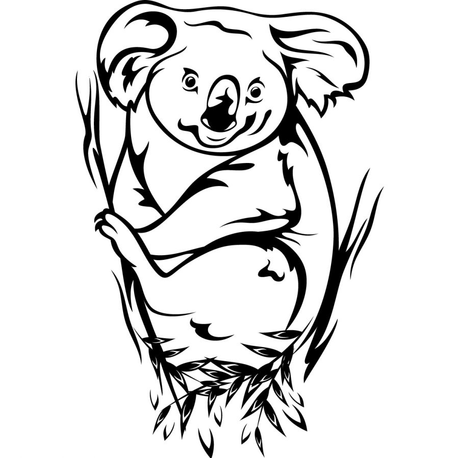 Koala #5555