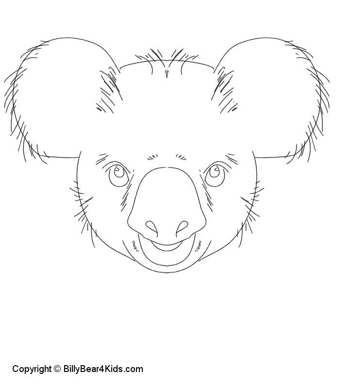 Koala #5557