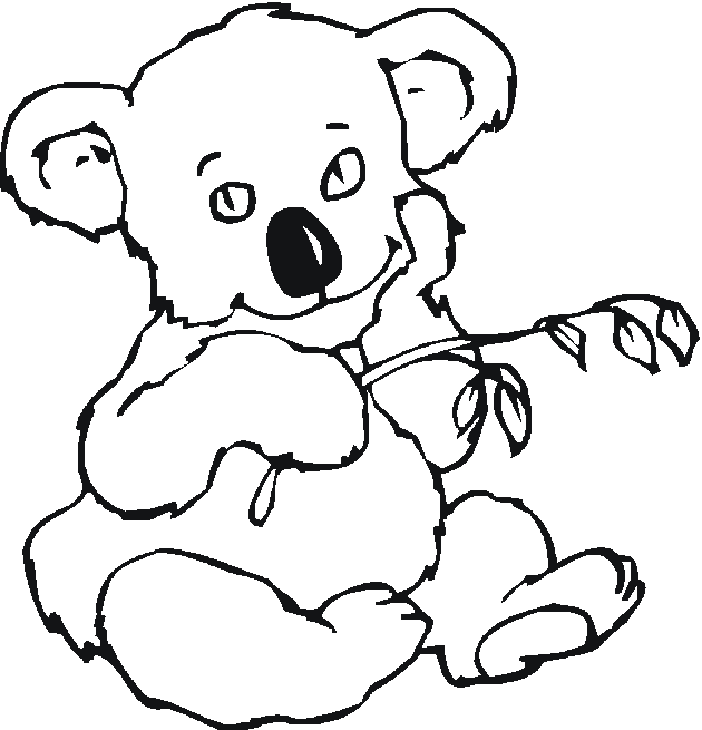Koala #5562