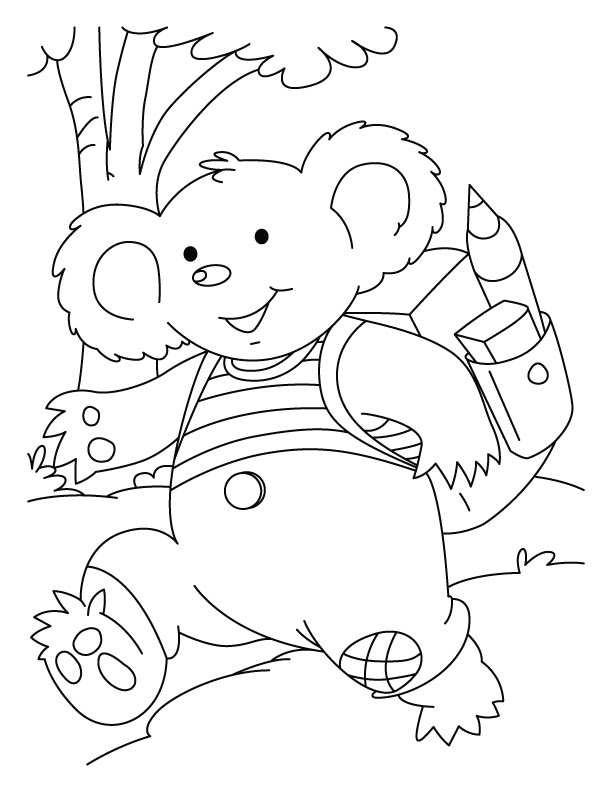 Koala #5570