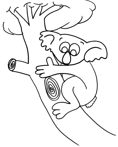 Koala #5576