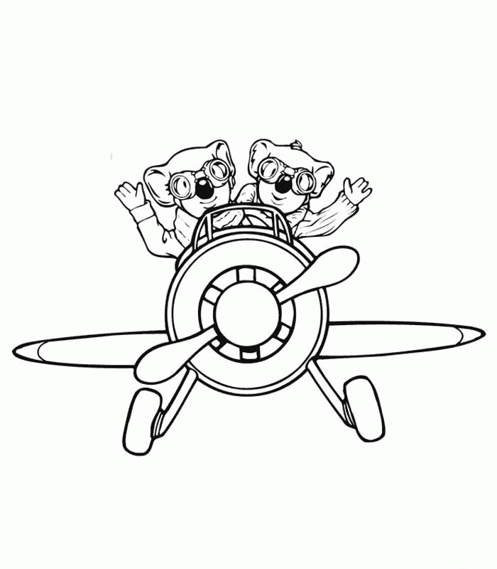 Koala #5583