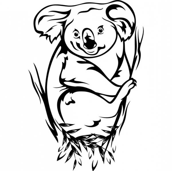 Koala #5588