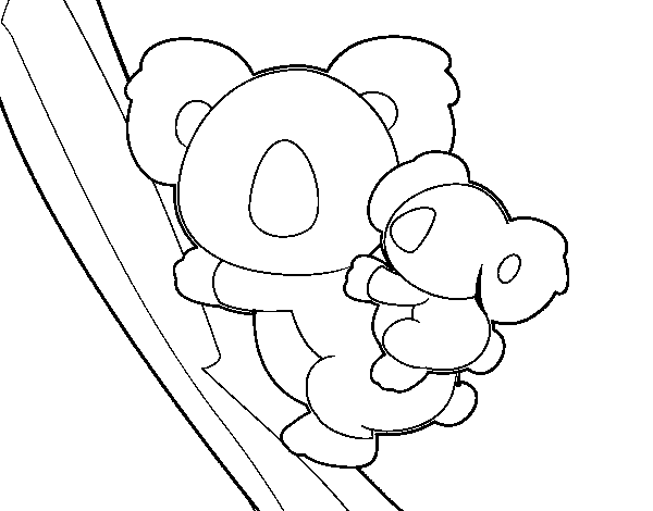 Koala #5589