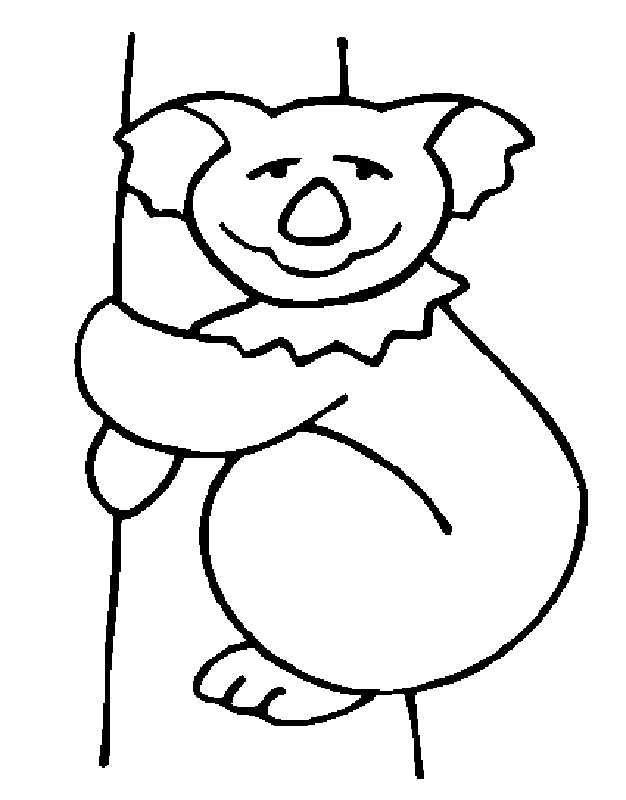 Koala #5590