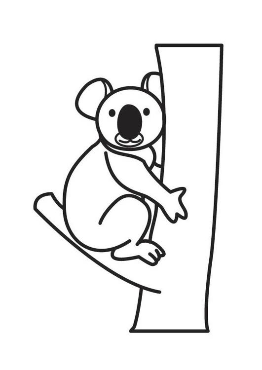 Koala #5591