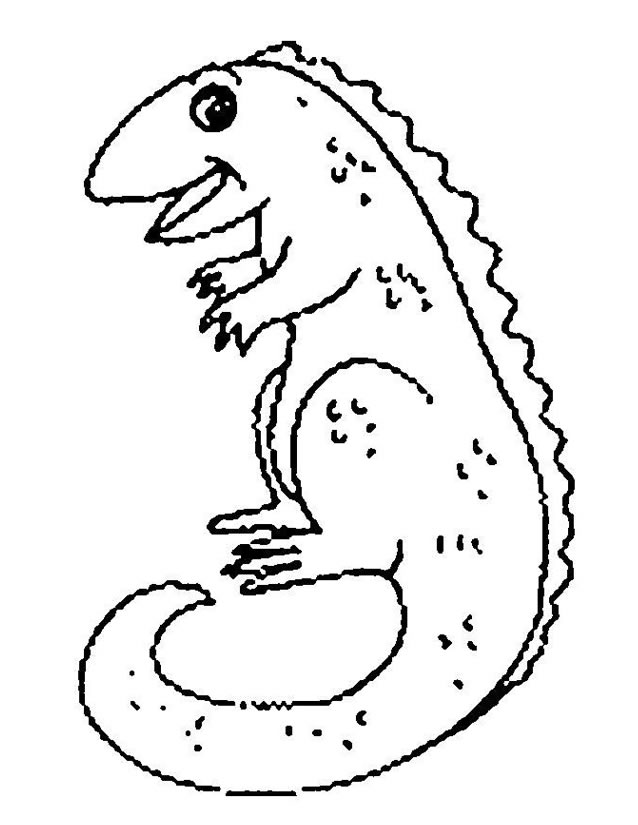 Lagartos #5634