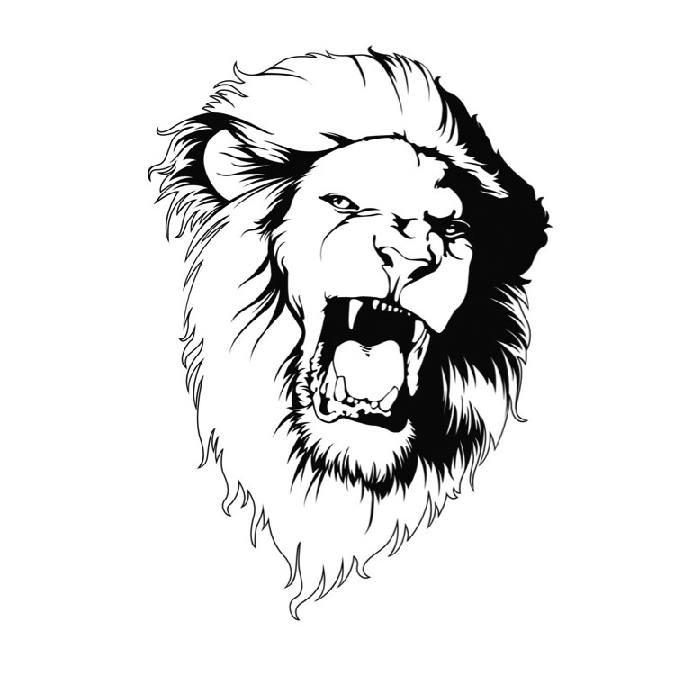 León #5664