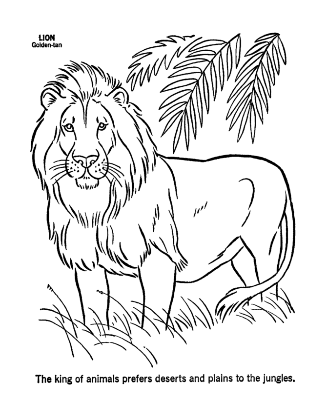 León #5666