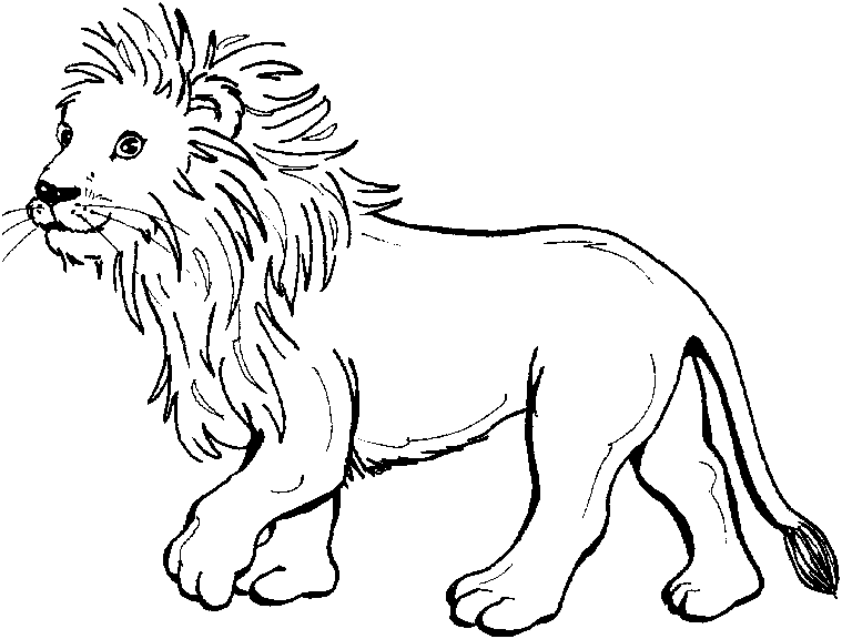 León #5673