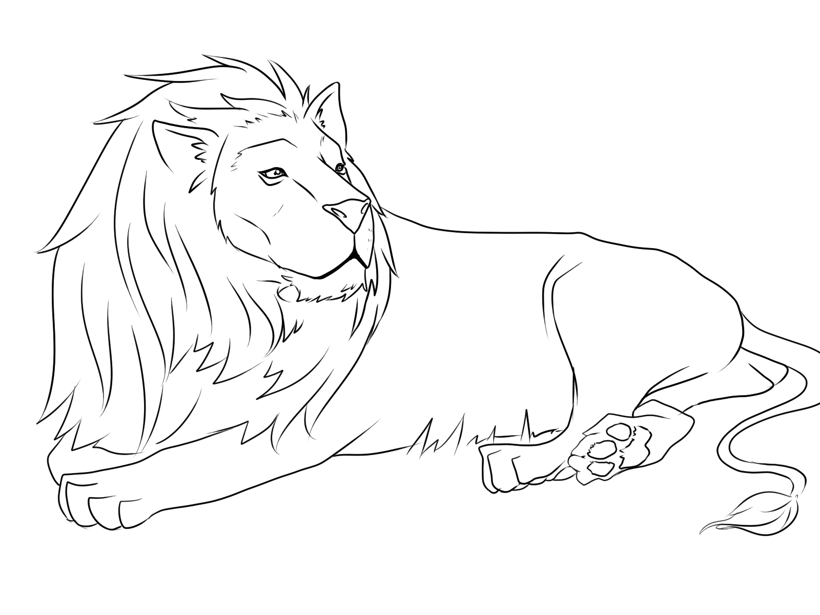 León #5674