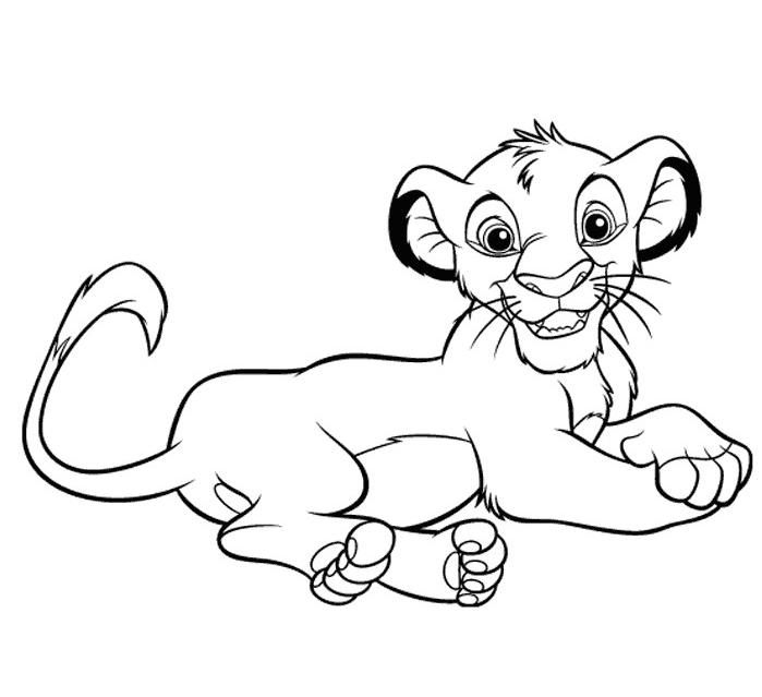 León #5677