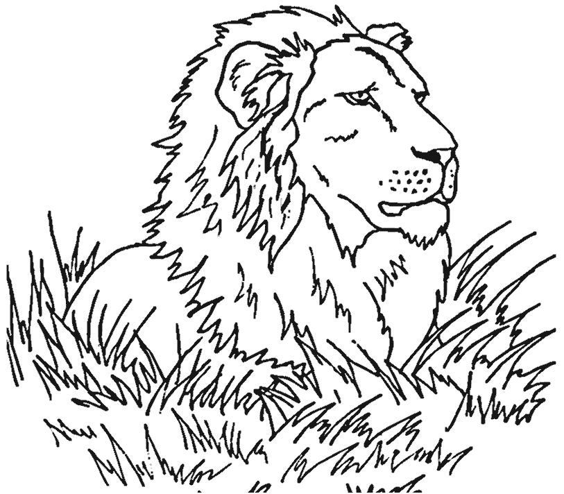León #5679