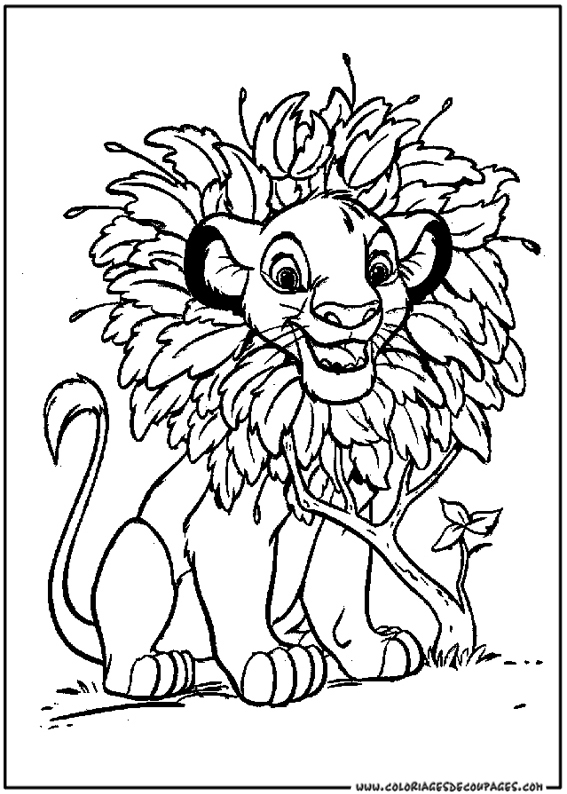 León #5685