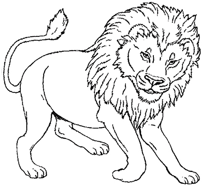 León #5692