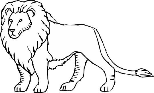 León #5693