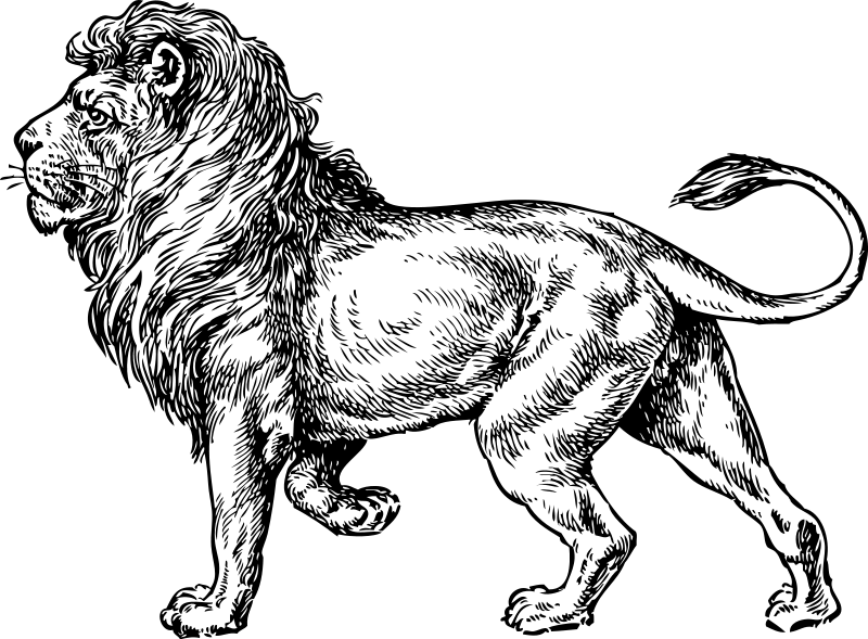 León #5696