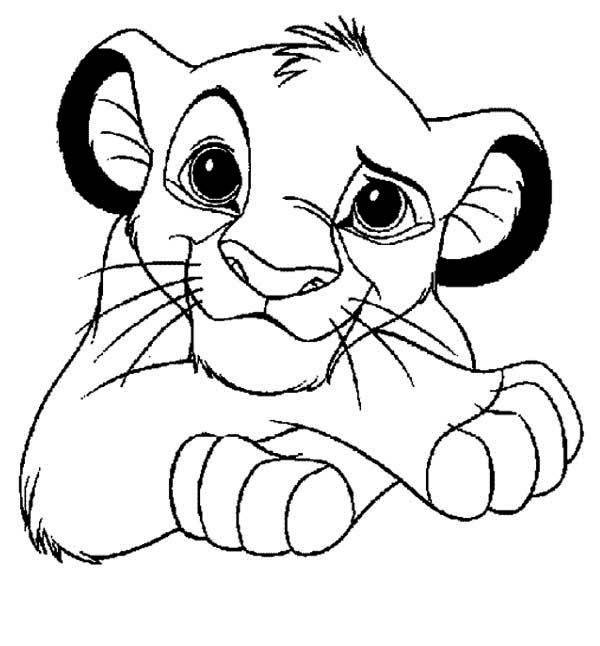León #5703