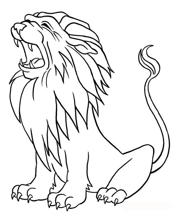 León #5706