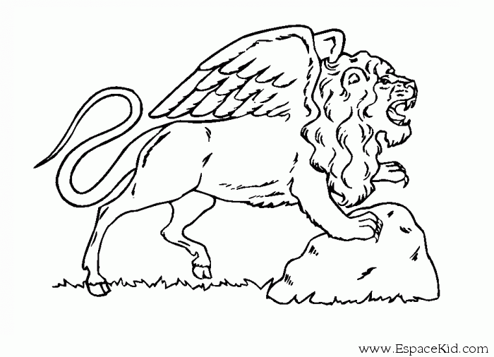 León #5716