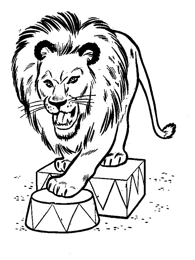 León #5717