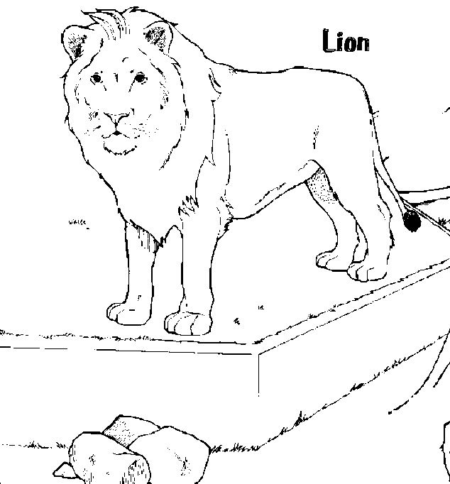 León #5718