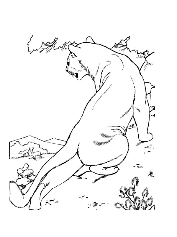 León #5724