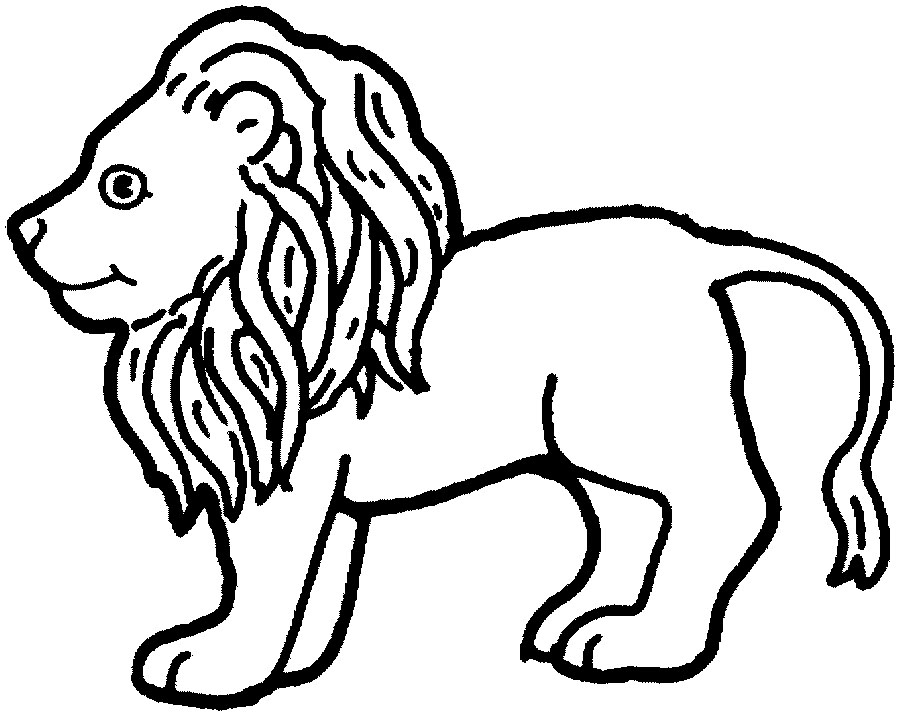 León #5726