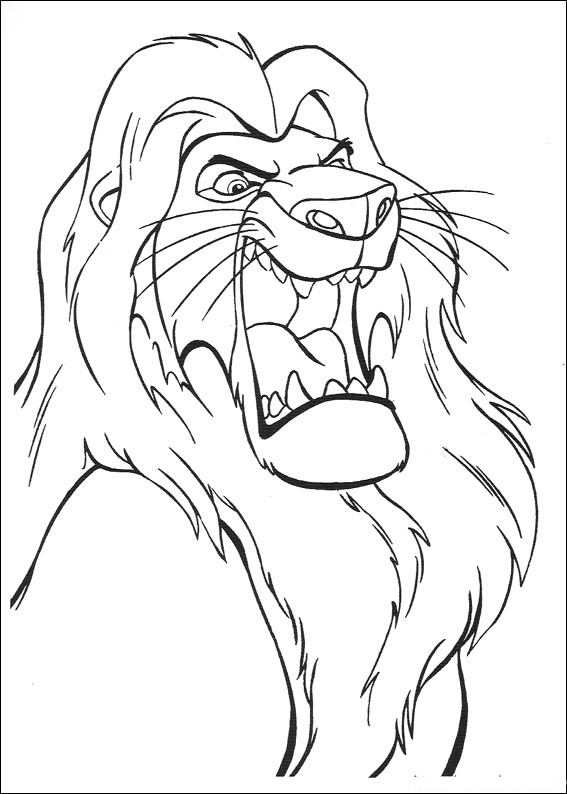 León #5727