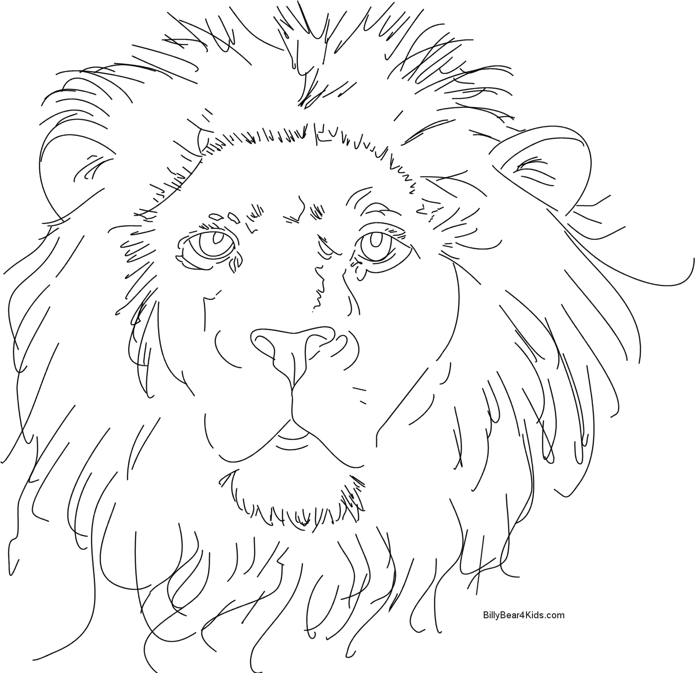 León #5728