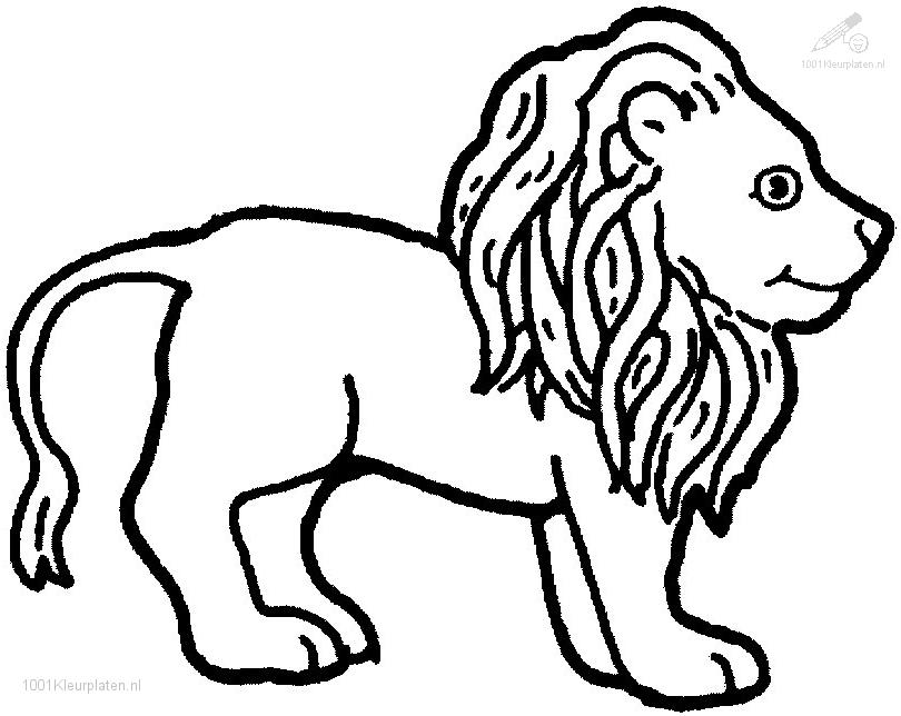 León #5740