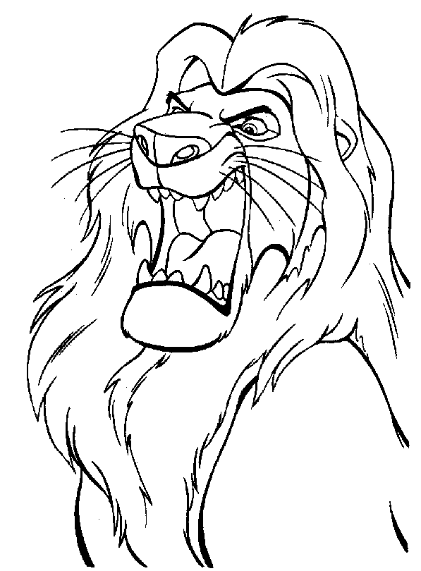 León #5741