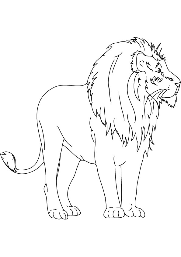 León #5744