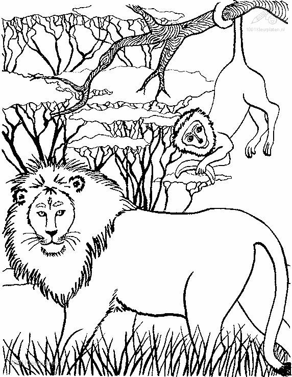 León #5745