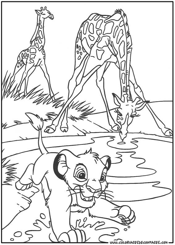León #5750